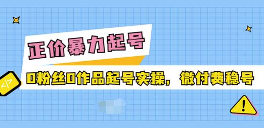 【3728】正价暴力起实操号：0粉丝0作品起号实操，微付费稳号（价值1980元）