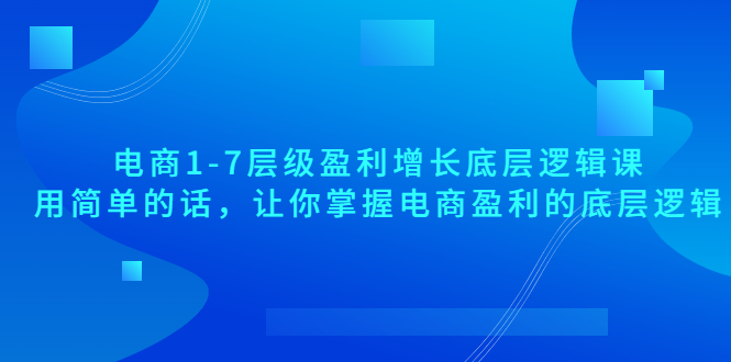 【3749】电商1-7层级盈利增长底层逻辑课：用简单的话，让你掌握电商盈利的底层逻辑