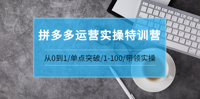 【3763】青云:拼多多运营实操特训营：从0到1/单点突破/1-100/带领实操 价值2980元