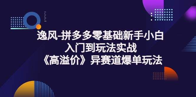 【3777】逸风-拼多多零基础新手小白入门到玩法实战《高溢价》异赛道爆单玩法实操课