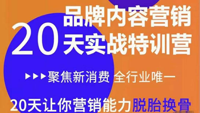 【3799】《内容营销实操特训营》20天让你营销能力脱胎换骨（价值3999）