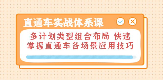 【3810】直通车实战体系课：多计划类型组合布局 快速掌握直通车各场景应用技巧