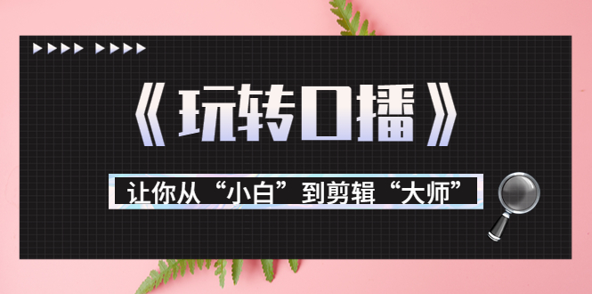 【3887】月营业额700万+大佬教您《玩转口播》让你从“小白”到剪辑“大师”