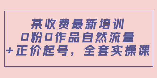 【3939】某收费最新培训：0粉0作品自然流量+正价起号，全套实操课