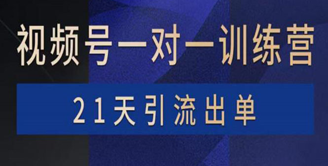 【3968】视频号训练营：带货，涨粉，直播，游戏，四大变现新方向，21天引流出单