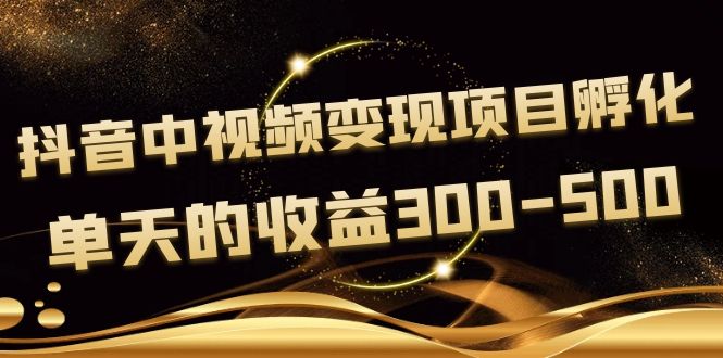 【4057】黄岛主《抖音中视频变现项目孵化》单天的收益300-500 操作简单粗暴