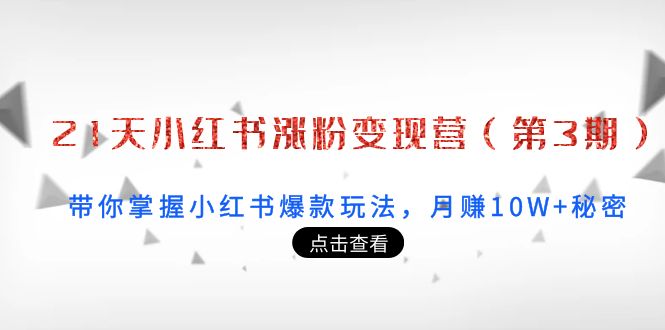 【4058】21天小红书涨粉变现营（3）：带你掌握小红书爆款玩法，月赚10W+秘密