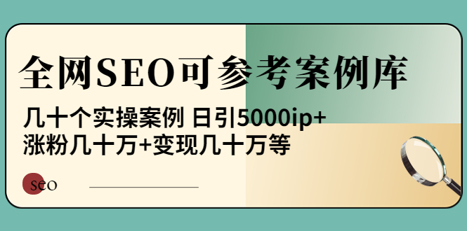 【4088】《全网SEO可参考案例库》几十个实操案例 日引5000ip+涨粉百W+变现几十W等