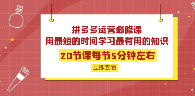 【4089】拼多多运营必修课：20节课每节5分钟左右，用最短的时间学习最有用的知识