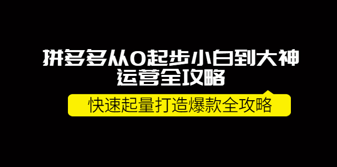 【4127】拼多多从0起步小白到大神运营全攻略，快速起量打造10W+爆款全攻略