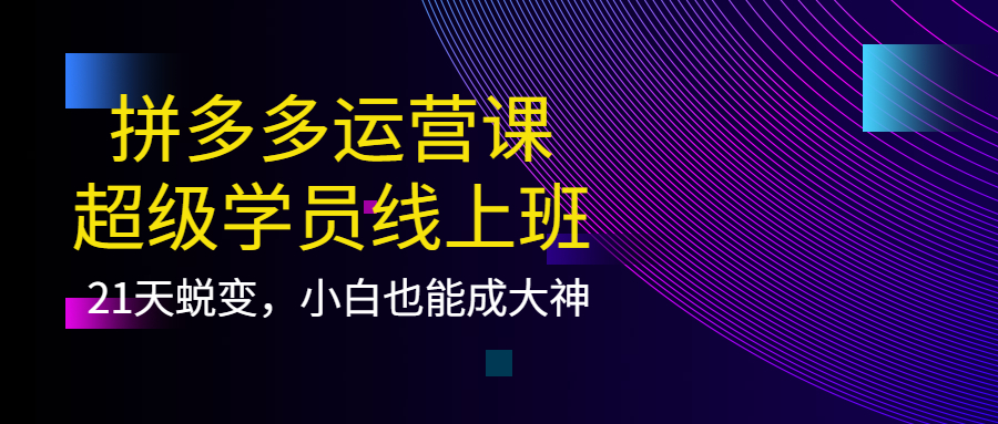 【4160】拼多多运营课：超级学员线上班，21天蜕变，小白也能成大神