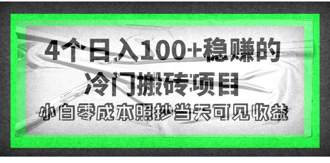 【4252】4个稳赚的冷门搬砖项目，每个项目日入100+小白零成本照抄当天可见收益