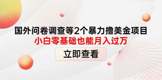 【4272】国外问卷调查等2个暴力撸美金项目，小白零基础也能月入过万