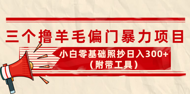 【4312】外面卖998的三个撸羊毛偏门暴力项目，小白零基础照抄日入300+（附带工具）