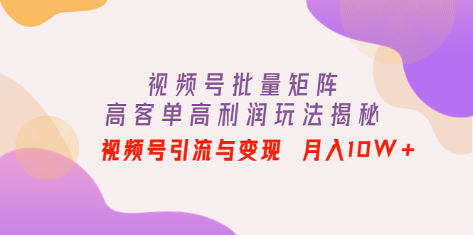 【4388】视频号批量矩阵的高客单高利润玩法揭秘： 视频号引流与变现 月入10W+