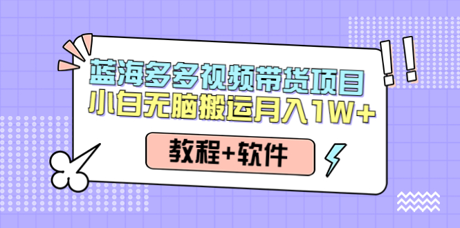 【4512】人人都能操作的蓝海多多视频带货项目 小白无脑搬运月入10000+（教程+软件）