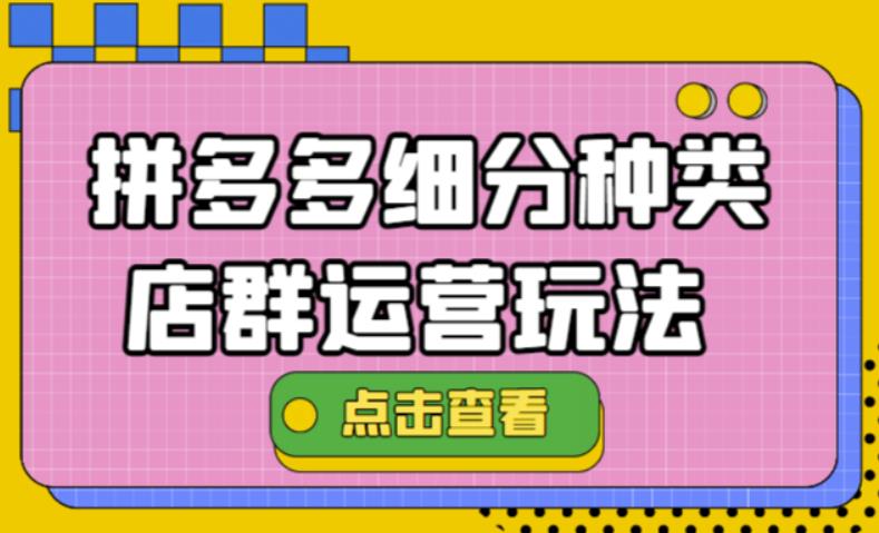 【4541】拼多多细分种类店群运营玩法3.0，11月最新玩法，小白也可以操作