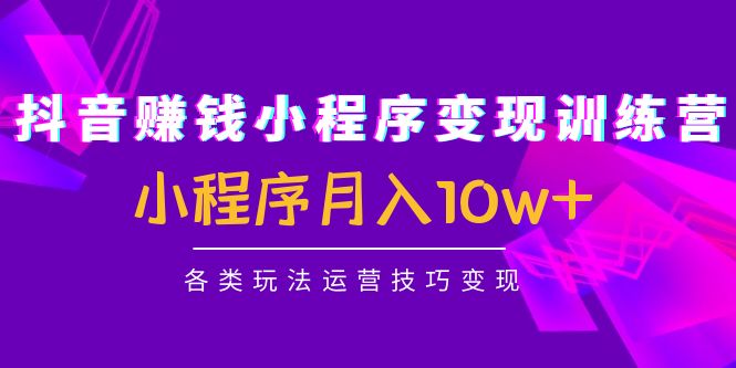 【4665】抖音赚钱小程序变现训练营：小程序月入10w+各类玩法运营技巧变现