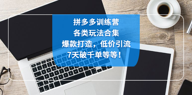 【4825】拼多多训练营：各玩法合集，爆款打造，低价引流，7天破千单等等