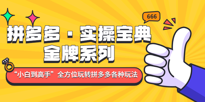 【5030】拼多多·实操宝典：金牌系列“小白到高手”带你全方位玩转拼多多各种玩法