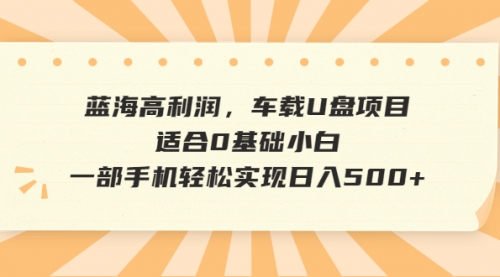 【6681】蓝海高利润，车载U盘项目，适合0基础小白，一部手机轻松实现一天500+