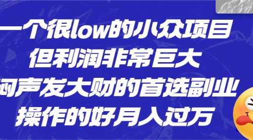 【6682】一个很low的小众项目，但利润非常巨大，闷声发大财的首选副业，月入过万