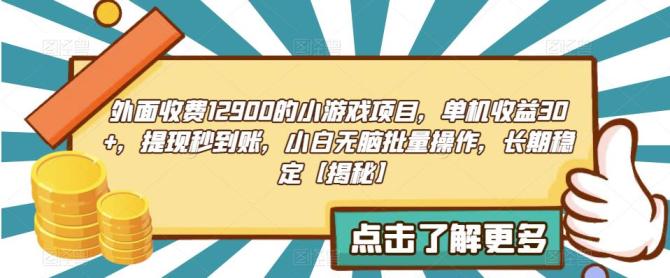 【6834】收费12900的小游戏项目，单机收益30+，独家养号方法