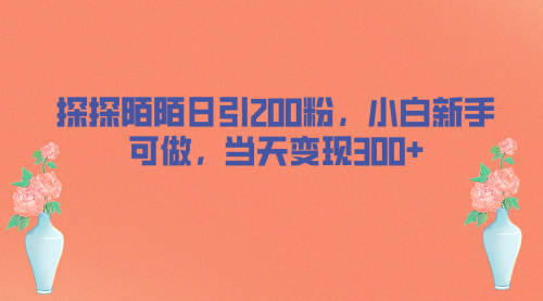 【6926】探探陌陌日引200粉，小白新手可做，当天就能变现300+