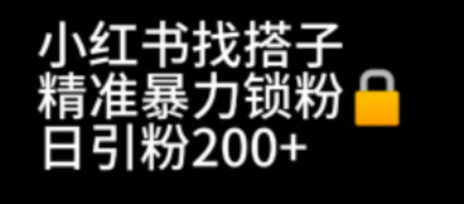 【6940】小红书找搭子暴力精准锁粉+引流日引200+精准粉