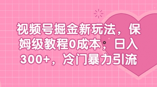 【6945】视频号掘金新玩法，保姆级教程0成本，日入300+，冷门暴力引流