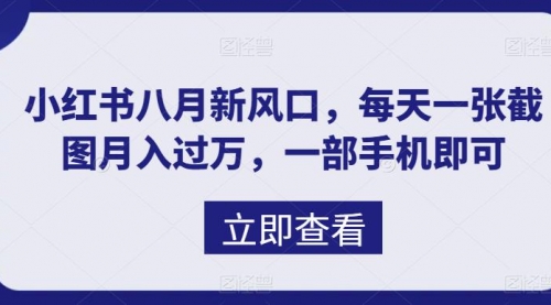 【6978】八月新风口，小红书虚拟项目一天收入1000+