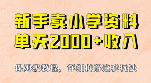 【7000】卖小学资料，实现单天2000+，实操项目，保姆级教程+资料+工具