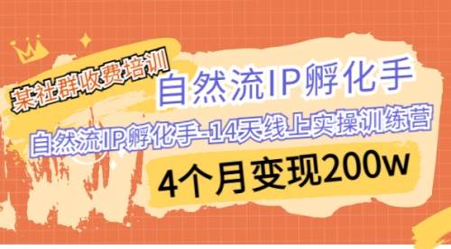 【7009】自然流IP孵化手-14天线上实操训练营 4个月变现200w