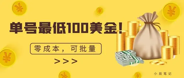 【7044】单号最低100美金，零成本，小白无脑操作