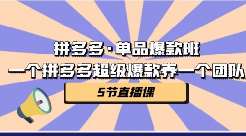 【7071】拼多多·单品爆款班，一个拼多多超级爆款养一个团队