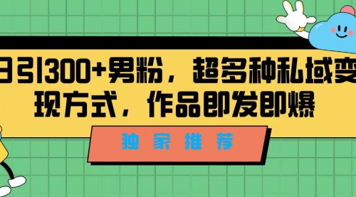 【7091】独家推荐！日引300+男粉，超多种私域变现方式