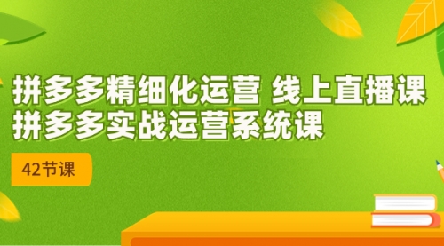 【7192】2023年8月新课-拼多多精细化运营