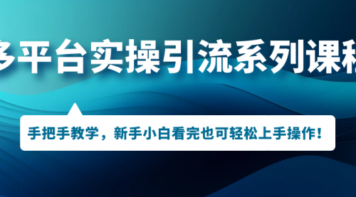 【7193】多平台实操引流系列课程，手把手教学，新手小白看完也可轻松上手引流操作！