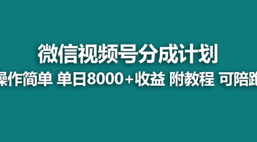 【8166】视频号分成计划，单天收益8000+，附玩法教程！可陪跑