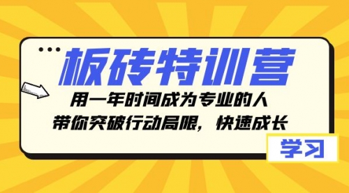 【8289】板砖特训营，用一年时间成为专业的人，带你突破行动局限，快速成长