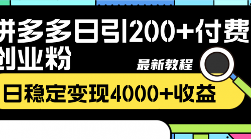 【8456】拼多多日引200+付费创业粉，日稳定变现4000+