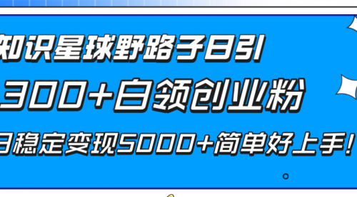 【8492】知识星球野路子日引300+白领创业粉