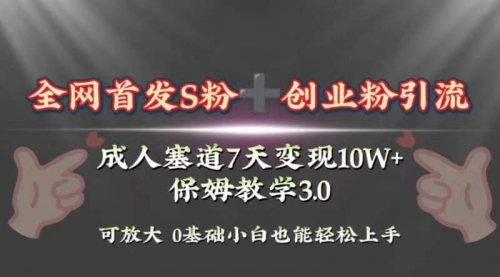 【8506】成人用品赛道7天变现10w+保姆教学3.0