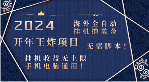 【8620】2024海外撸美金项目！手机电脑均可