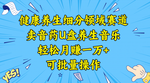 【8638】健康养生细分领域赛道，卖音药U盘养生音乐，轻松月赚一万+，可批量操作