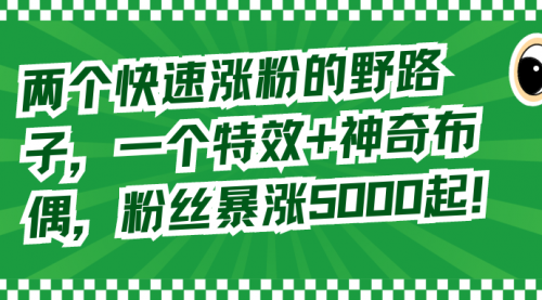 【8723】两个快速涨粉的野路子，一个特效+神奇布偶，粉丝暴涨5000起！