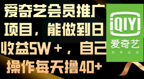 【8764】爱奇艺会员推广项目，能做到日收益5W＋