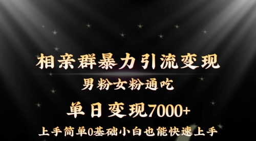 【8845】相亲群暴力引流男粉女粉通吃变现玩法，单日变现7000+保姆教学1.0