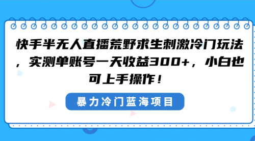 【8856】快手半无人直播荒野求生刺激冷门玩法，实测单账号一天收益300+