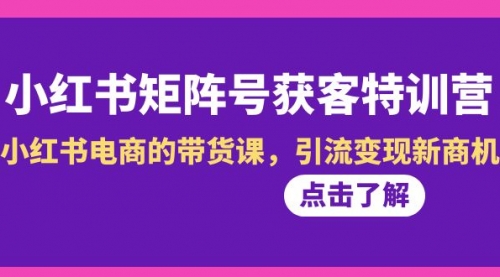 【8962】小红书-矩阵号获客特训营-10，小红书电商的带货课，引流变现新商机